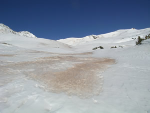 dust on snow photo gallery